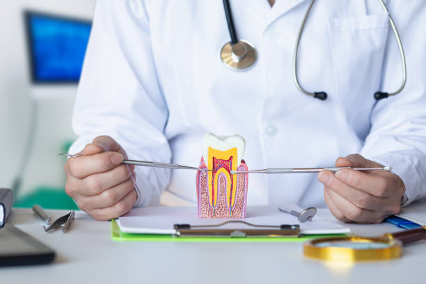 Best Tooth Infection Emergency Dentist  in Eagle Butte, SD